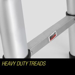 V219 LDRTELBULA38S LDRTELBULA38S 09