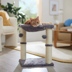 Pet Care