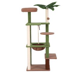 PET CAT L152 CT GNBR 02