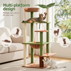 PET CAT L152 CT GNBR 03