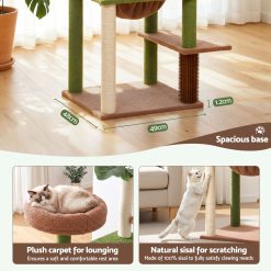 PET CAT L152 CT GNBR 07