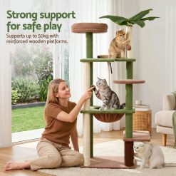 PET CAT L152 CT GNBR 08