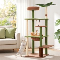 PET CAT L152 CT GNBR 09