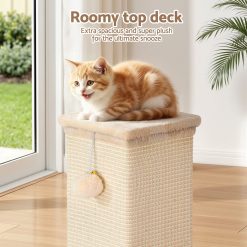 PET CAT PO L BE 04
