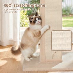 PET CAT PO L BE 06