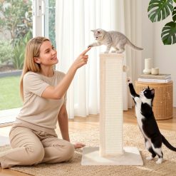 PET CAT PO L BE 08
