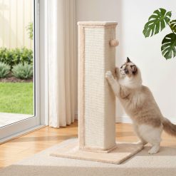 PET CAT PO L BE 09