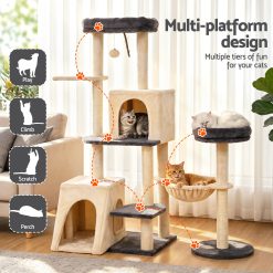 PET CAT ROT M133 GRBE 03