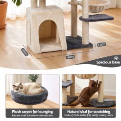 PET CAT ROT M133 GRBE 07