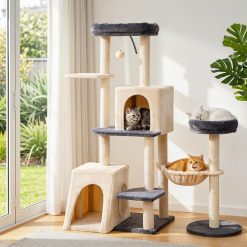 PET CAT ROT M133 GRBE 09