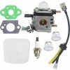 C1U K54A Mantis tiller carburetor