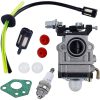 Carburetor kit 52cc 49cc 43cc with gasket, hose, spark plug and fuel filter