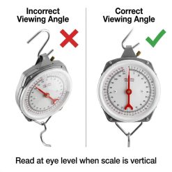V1258 DP02 C 2109 202604032110 04