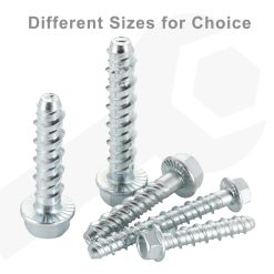 V1258 DP02 F 204 202604140110 02