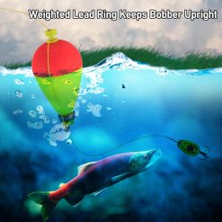 V1259 DP01 A 1455 202603310035 04