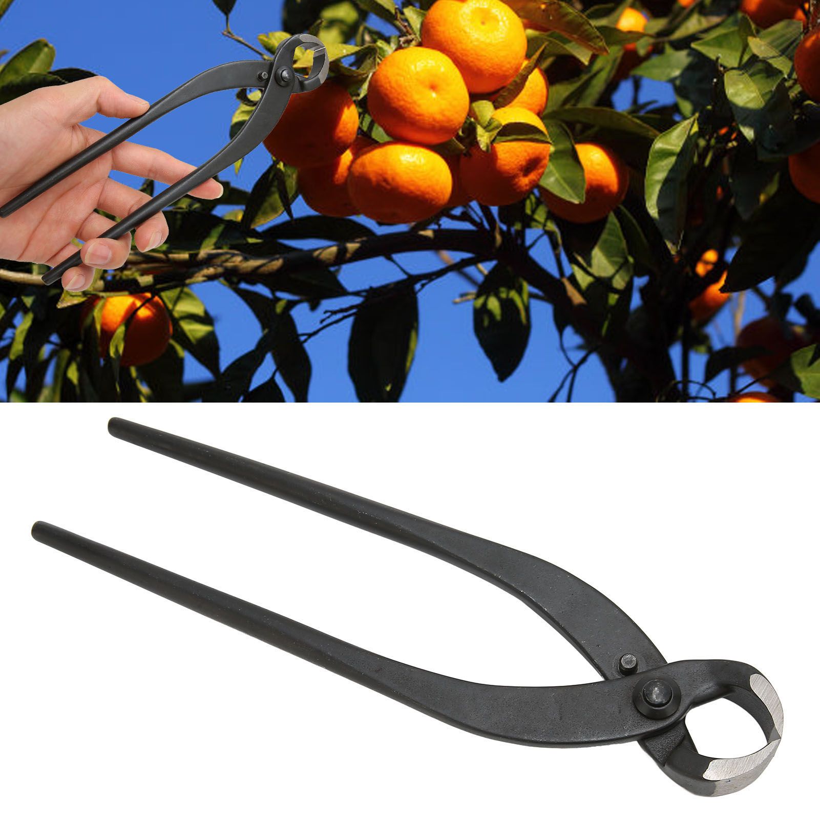 Bonsai Branch Cutter Professional Manganese Steel Bonsai Trim Pliers for Flowers Fruit Trees Bonsai 8.3in 12 Bonsai Branch Cutter Professional Manganese Steel Bonsai Trim Pliers for Flowers Fruit Trees Bonsai 8.3in - Image 12