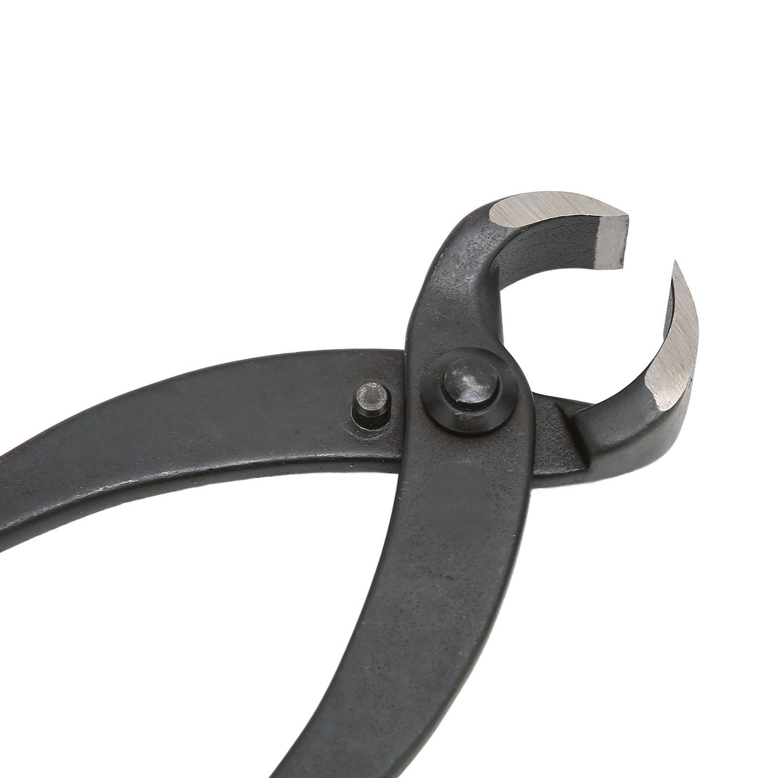 Bonsai Branch Cutter Professional Manganese Steel Bonsai Trim Pliers for Flowers Fruit Trees Bonsai 8.3in 13 Bonsai Branch Cutter Professional Manganese Steel Bonsai Trim Pliers for Flowers Fruit Trees Bonsai 8.3in - Image 13