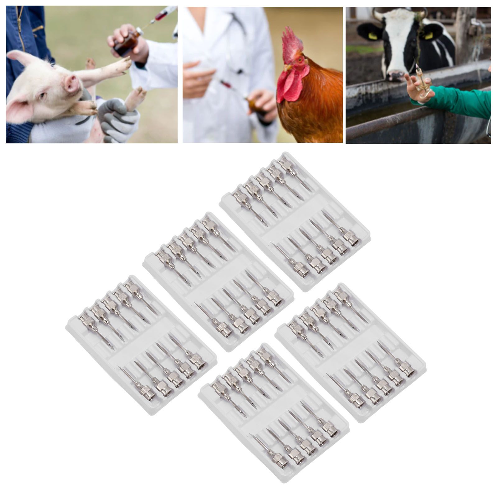 Poultry Injection Needles Stainless Steel Bovine Pig Injection Needle Cow Pig Injection Needle Accessories 12x15mm / 0.5x0.6in 11 Poultry Injection Needles Stainless Steel Bovine Pig Injection Needle Cow Pig Injection Needle Accessories 12x15mm / 0.5x0.6in - Image 11