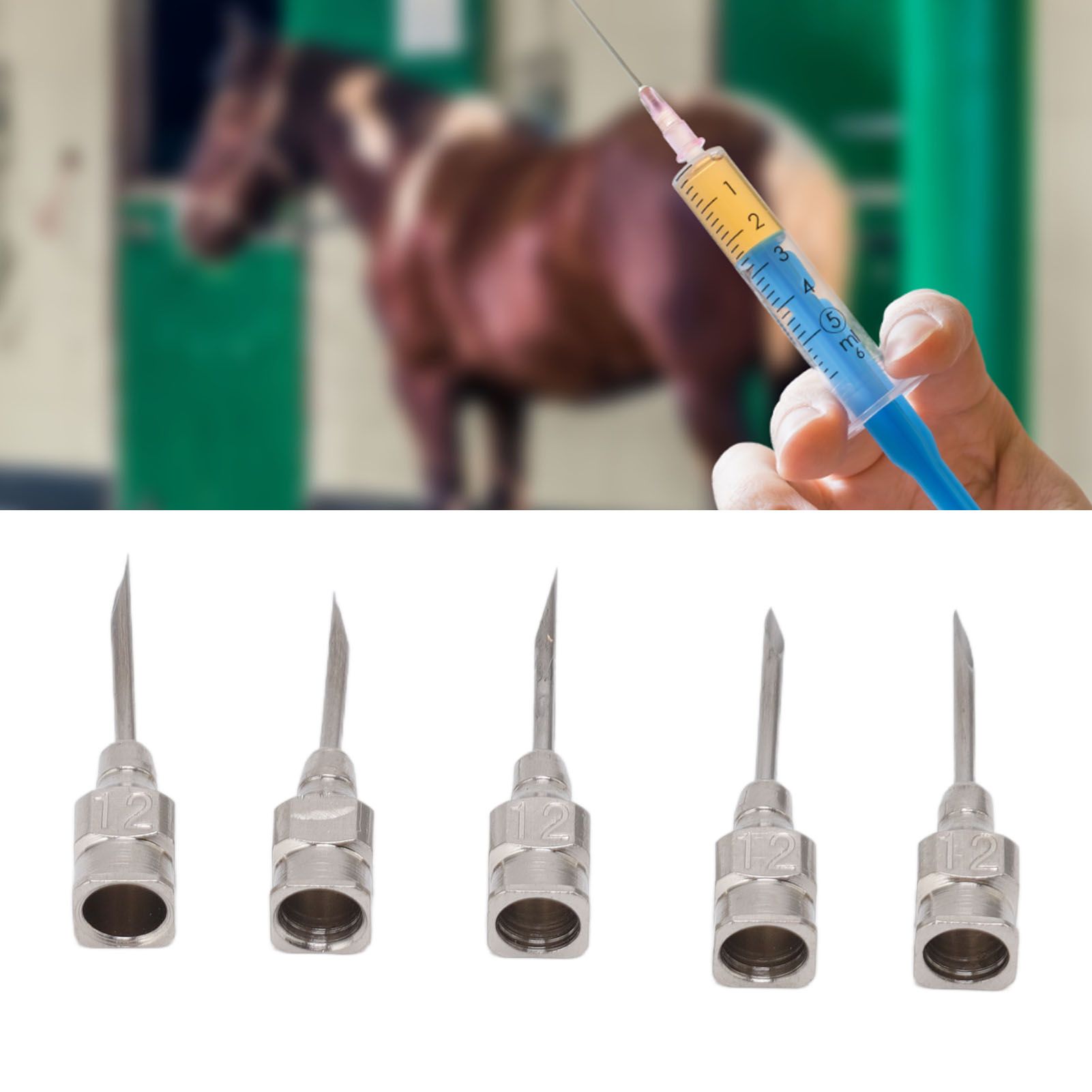 Poultry Injection Needles Stainless Steel Bovine Pig Injection Needle Cow Pig Injection Needle Accessories 12x15mm / 0.5x0.6in 12 Poultry Injection Needles Stainless Steel Bovine Pig Injection Needle Cow Pig Injection Needle Accessories 12x15mm / 0.5x0.6in - Image 12