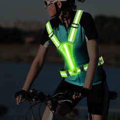 V1308 DSZKI 55 1 03